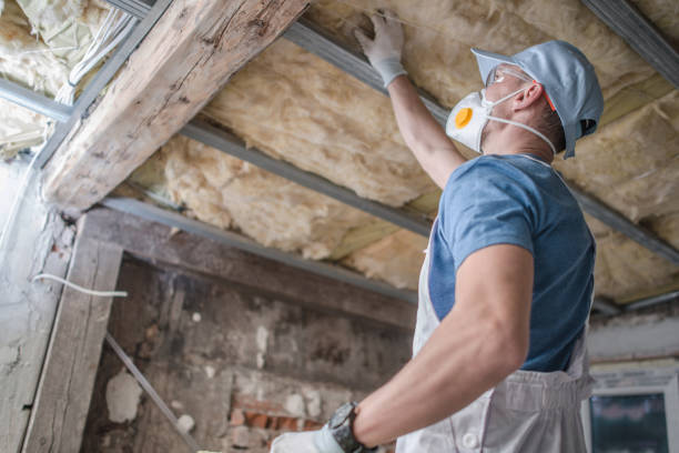 Best Insulation for Specific Applications in Decatur, IL
