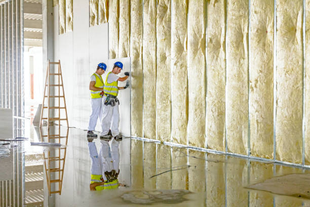 Best Insulation Installation Services in Decatur, IL